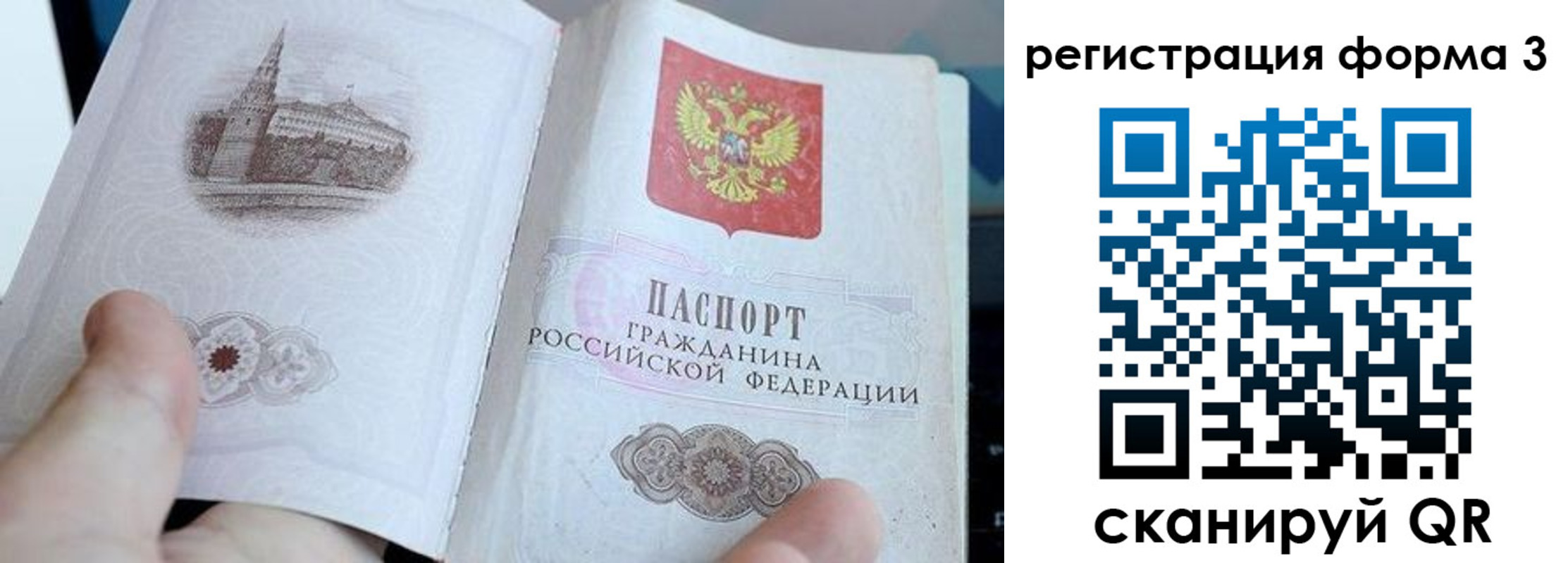 временная регистрация поиск в Палласовке